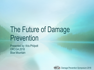 The Future of Damage Prevention